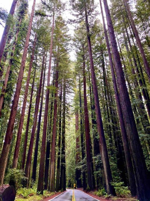 Avenue Of The Giants Pepperwood Place Miranda Exterior foto