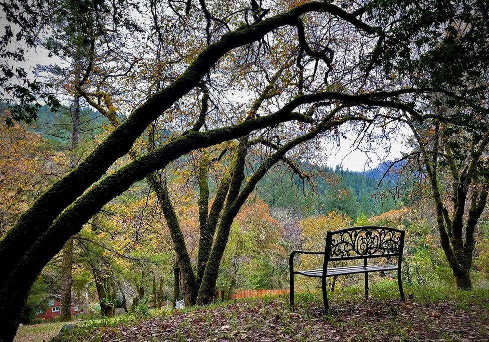 Avenue Of The Giants Pepperwood Place Miranda Exterior foto