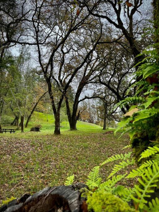 Avenue Of The Giants Pepperwood Place Miranda Exterior foto